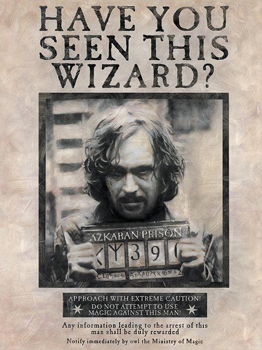 Harry potter wanted sirius black 30x40x2cm stretched canvas print
