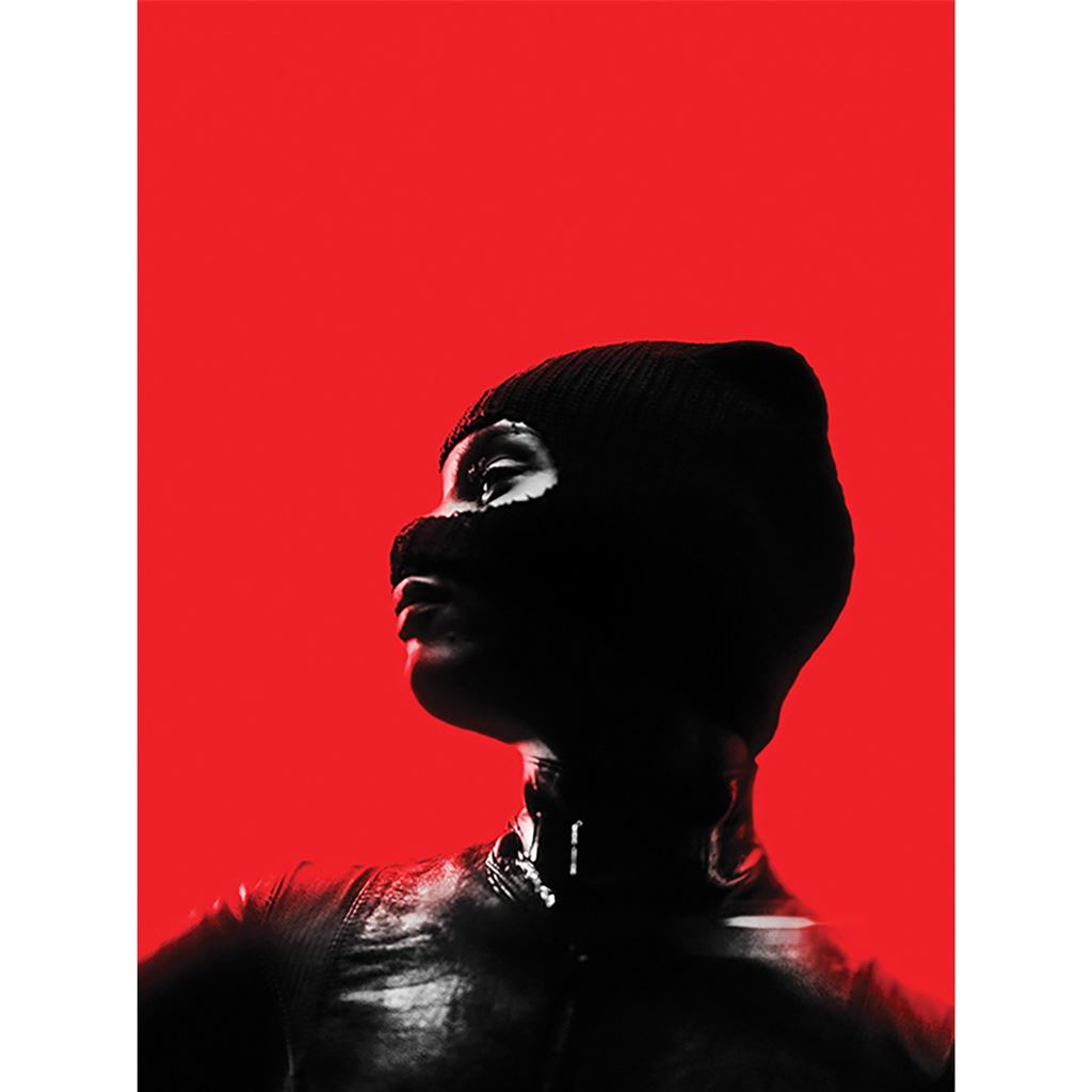 THE BATMAN (CATWOMAN RED) 30X40