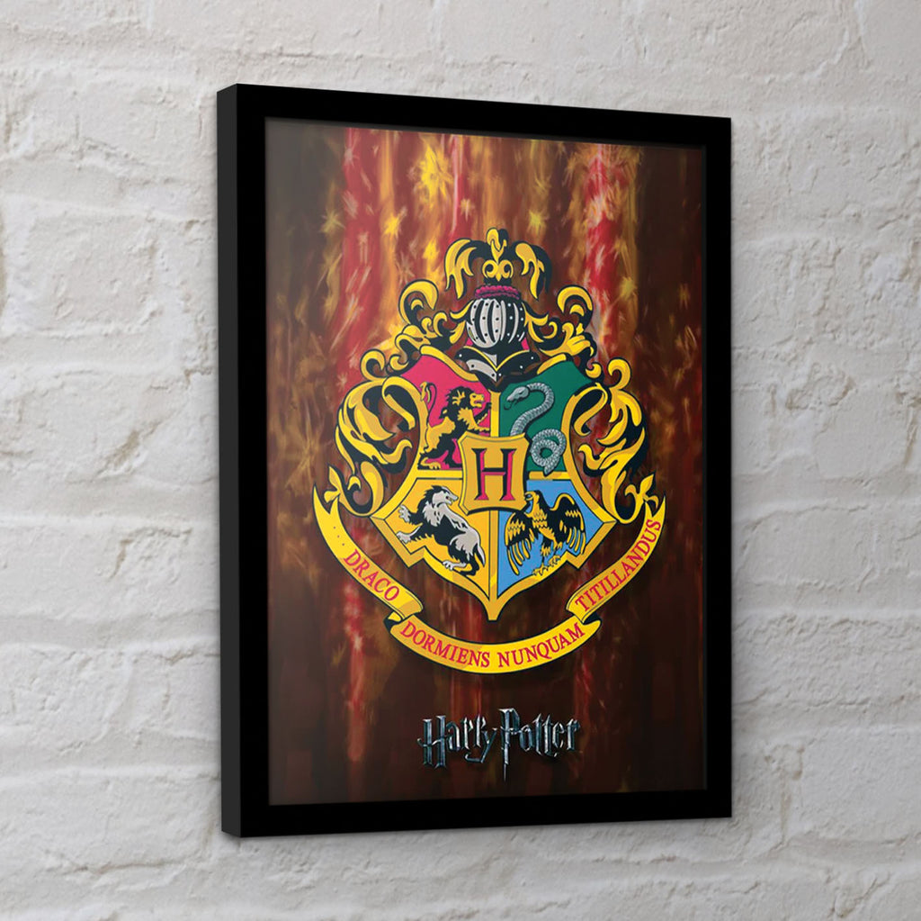 Harry Potter Collector Prints