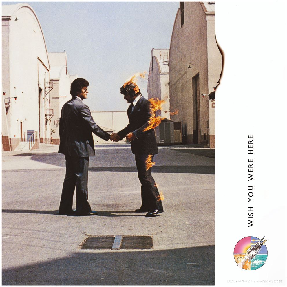 FRAMED PINK FLOYD (WISH YOU WERE HERE)