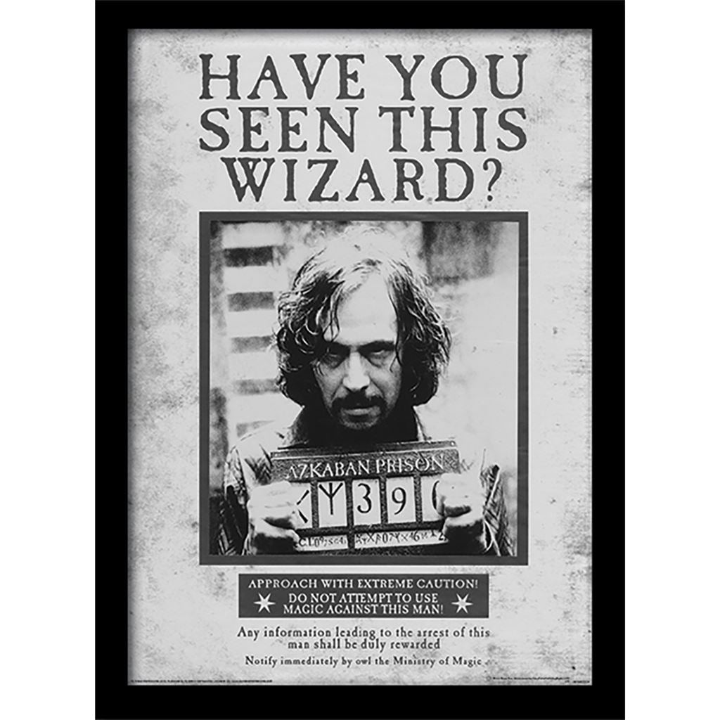 Harry Potter (Sirius Wanted) 30 x 40cm Collector Print (Framed)
