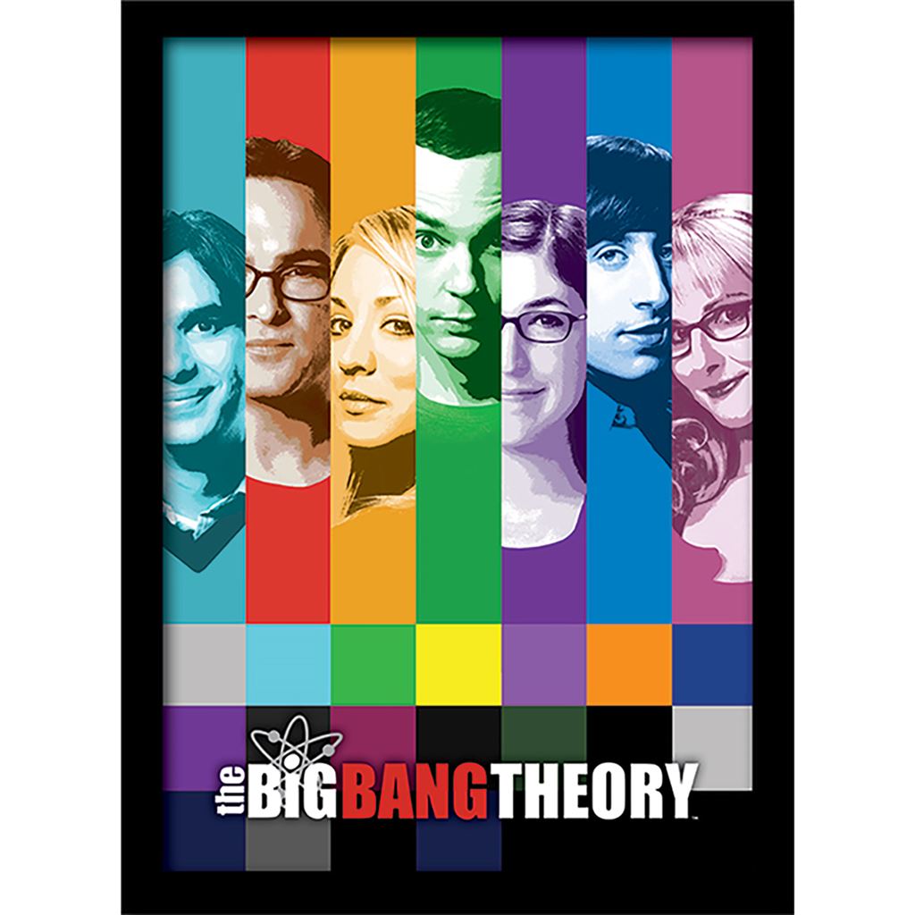 The Big Bang Theory (Signals) 30 x 40cm Collector Print (Framed)