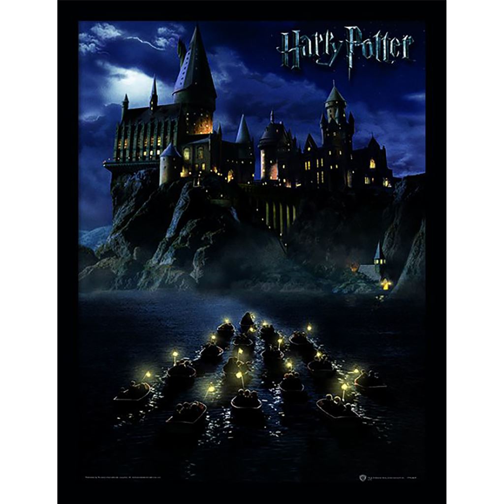 Harry Potter (Hogwarts School) 30 x 40cm Collector Print (Framed)