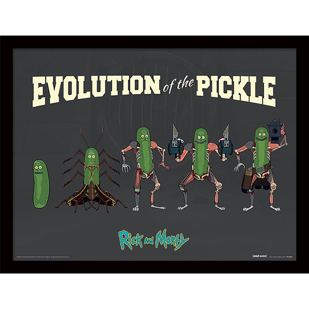 Rick and Morty (Evolution of the Pickle) 30 x 40cm Collector Print (Framed)