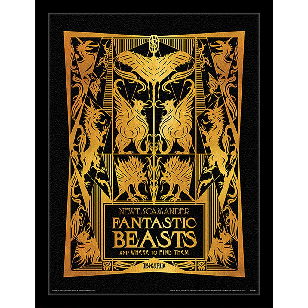 Fantastic Beasts The Crimes of Grindelwald 30 x 40cm Collector Print (Framed)