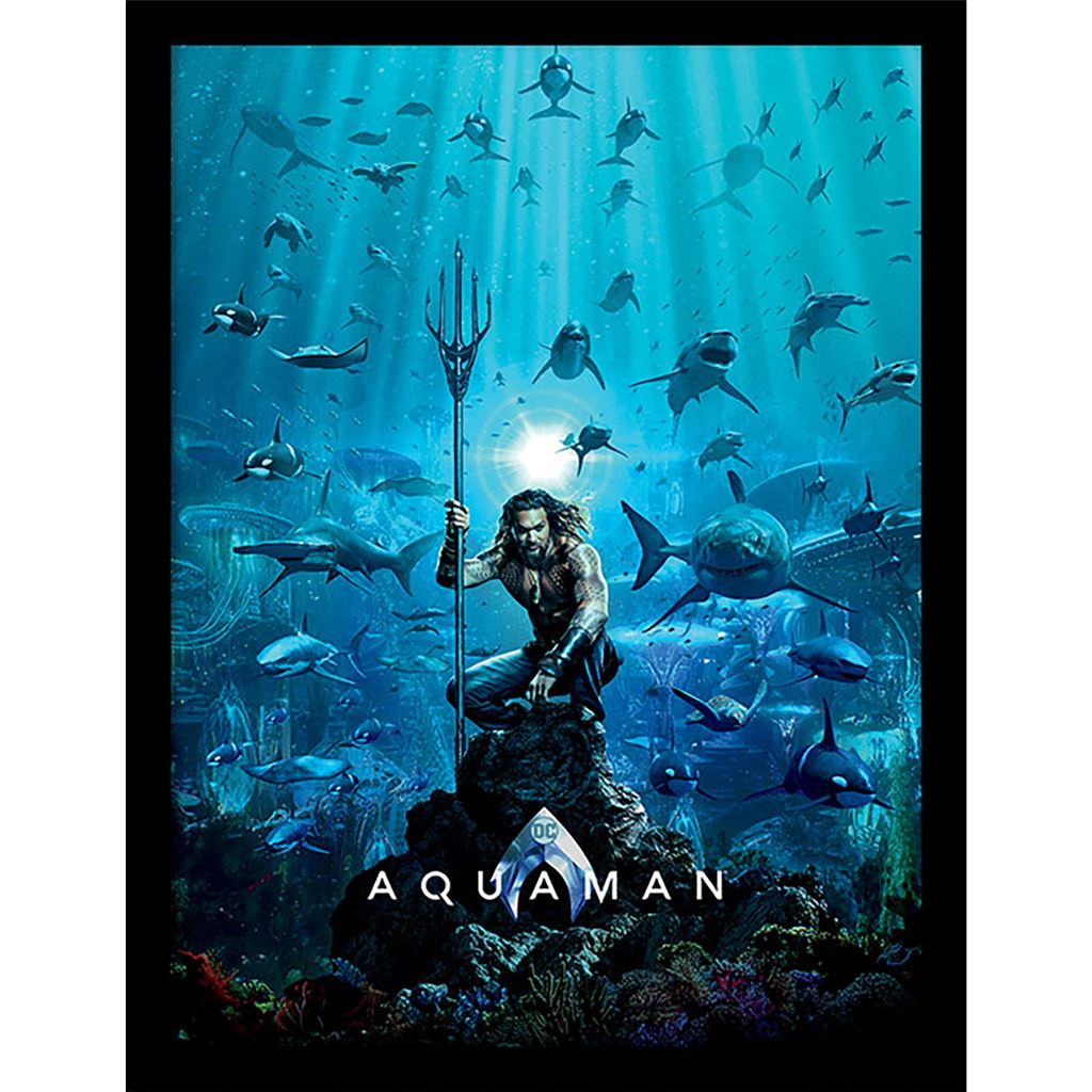 Aquaman (Teaser) 30 x 40cm Collector Print (Framed)