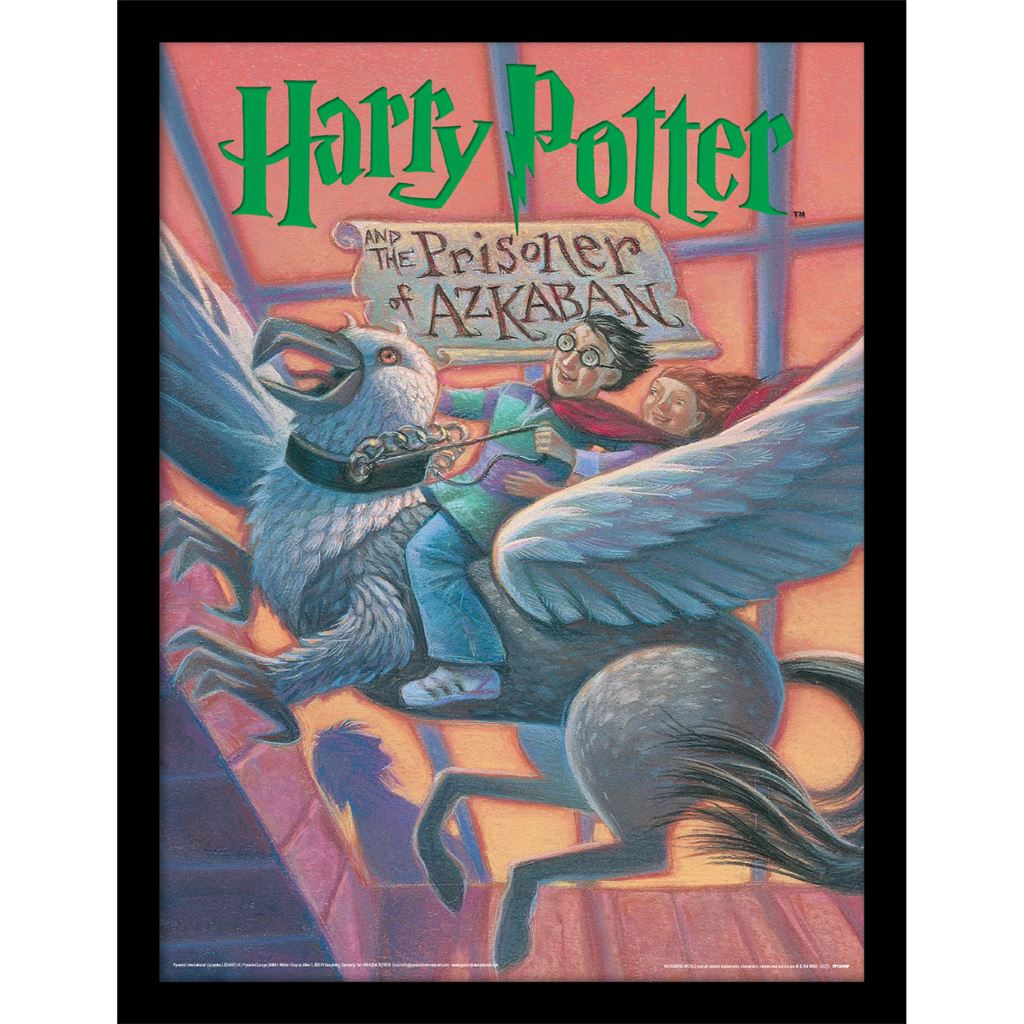 Harry Potter (The Prisoner Of Azkaban Book) 30 x 40cm Collector Print (Framed)