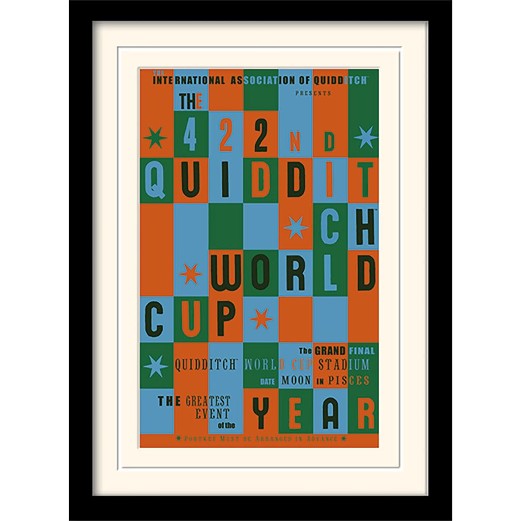 Harry Potter (Quidditch World Cup) 30 x 40cm Collector Print (Mounted Framed)