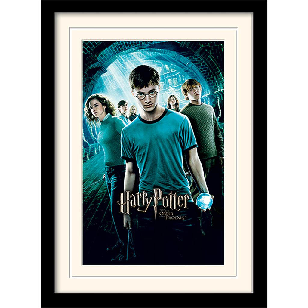 Harry Potter (Order Of The Phoenix) 30 x 40cm Collector Print (Mounted Framed)