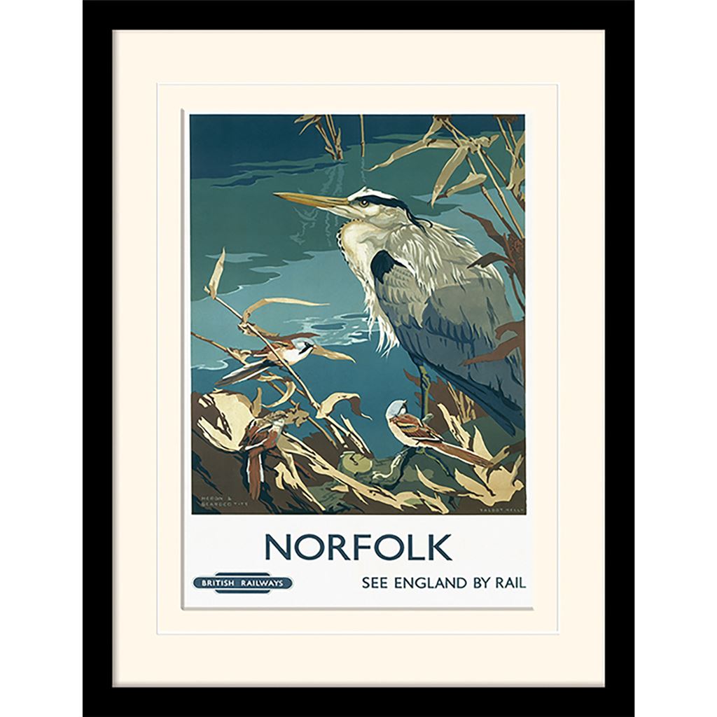 Norfolk (Heron & Bearded Tits By Talbot Kelly) 30 x 40cm Collector Print (Mounted Framed)