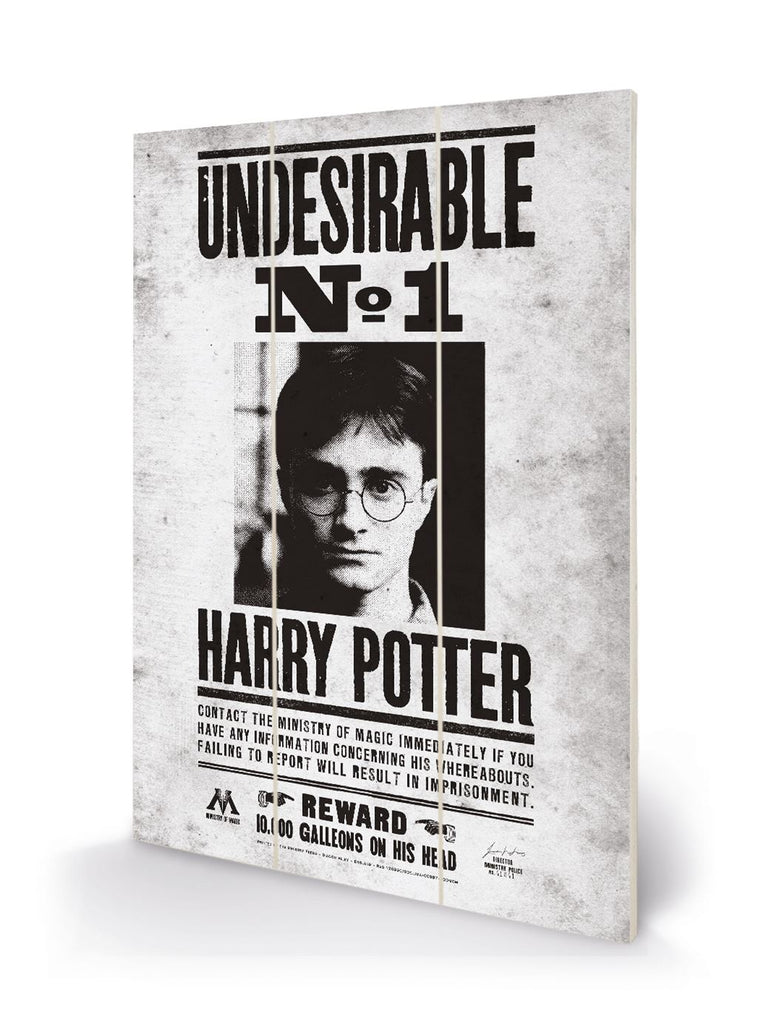 Harry Potter (Undesirable No1) 20 x 29.5cm