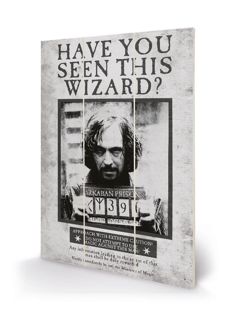 Harry Potter (Sirius Wanted) 20 x 29.5cm