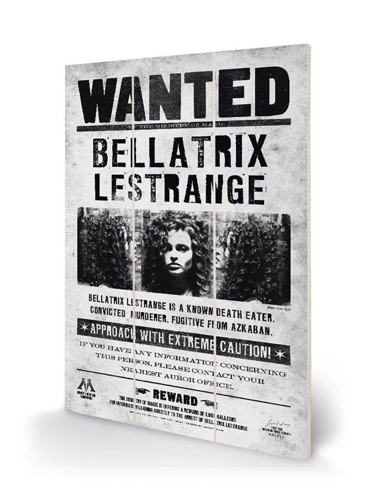 Harry Potter (Bellatrix Wanted) 20 x 29.5cm