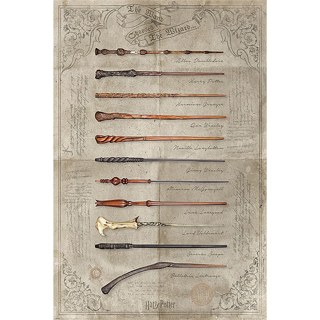 Harry Potter (The Wand Chooses The Wizard) 61 X 91.5cm Maxi Poster