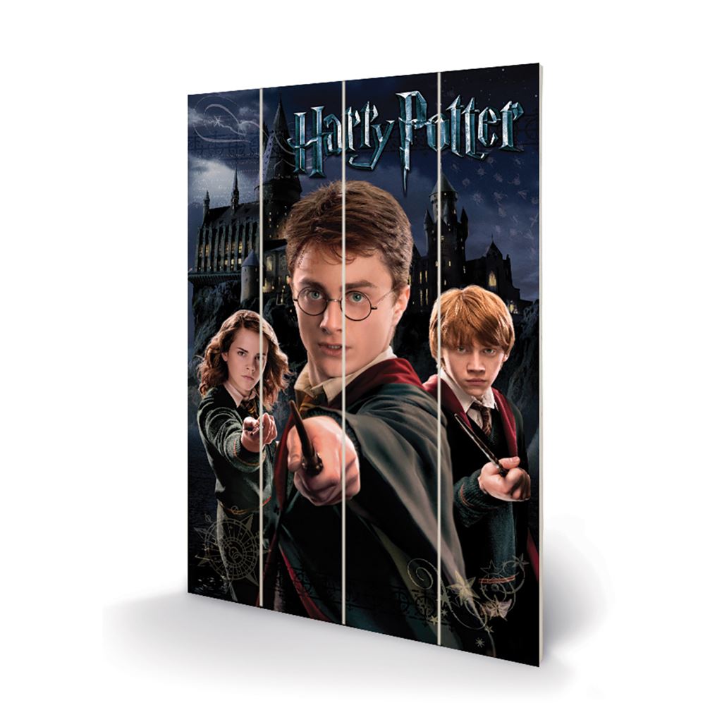 Harry Potter (Harry Ron Hermione) 40 x 59cm