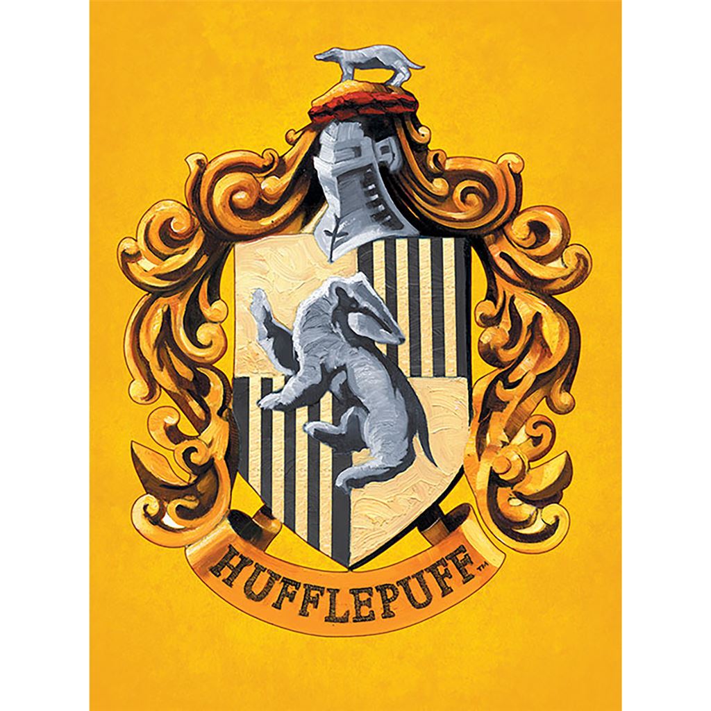 HARRY POTTER (COLOURFUL CREST YELLOW) 60X80