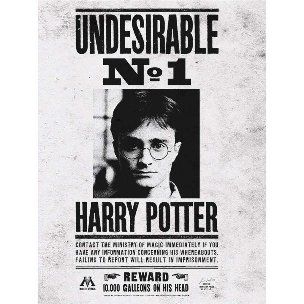 HARRY POTTER (UNDESIRABLE NO.1) - 30X40